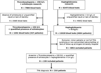 Retrospective and Systematic Analysis of Causes and Outcomes of Thrombotic Microangiopathies in Routine Clinical Practice: An 11-Year Study